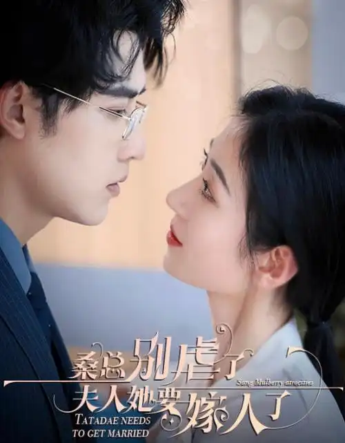 长夜星河热播电视剧全集在线观看